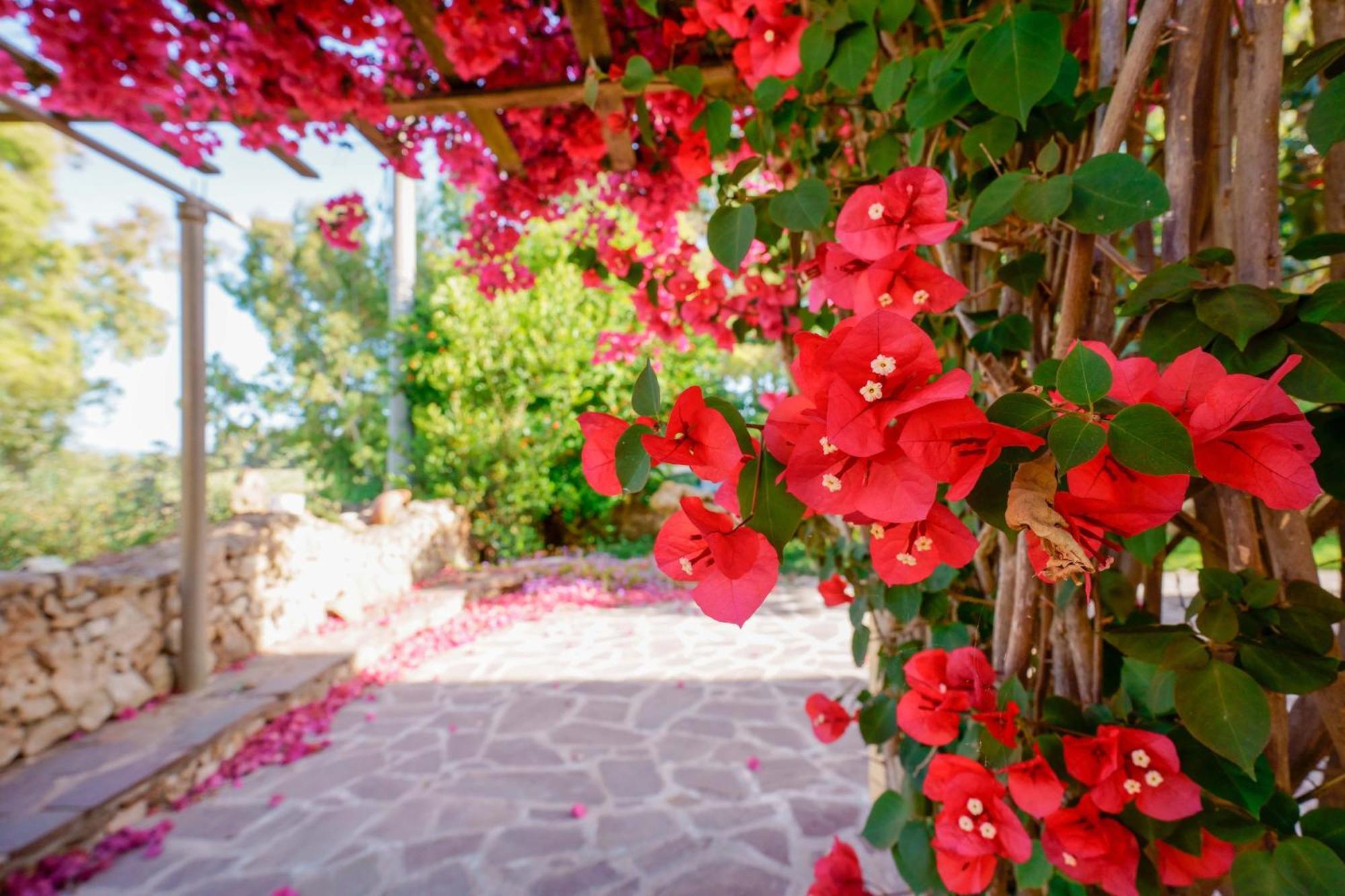 Agriturismo La Genziana Alghero Exterior photo